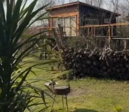 Una cabaña de madera sobre pilotes, entre el bosque