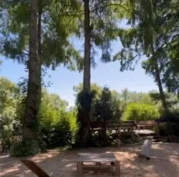 La playa de arena con reposeras